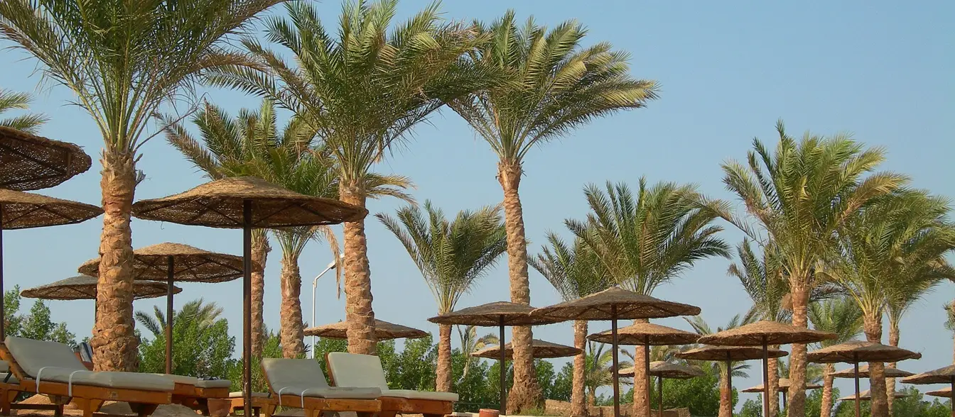 Mirage Bay Resort & Aqua Park, Sahl Hasheesh