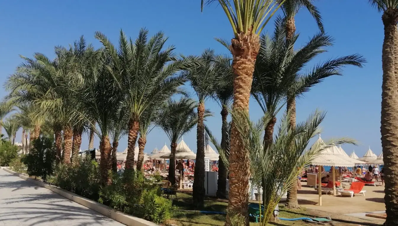 Grounds and buildings of a large resort hotel in Hurghada, the kind of operation the new hospitality management programmes train staff for