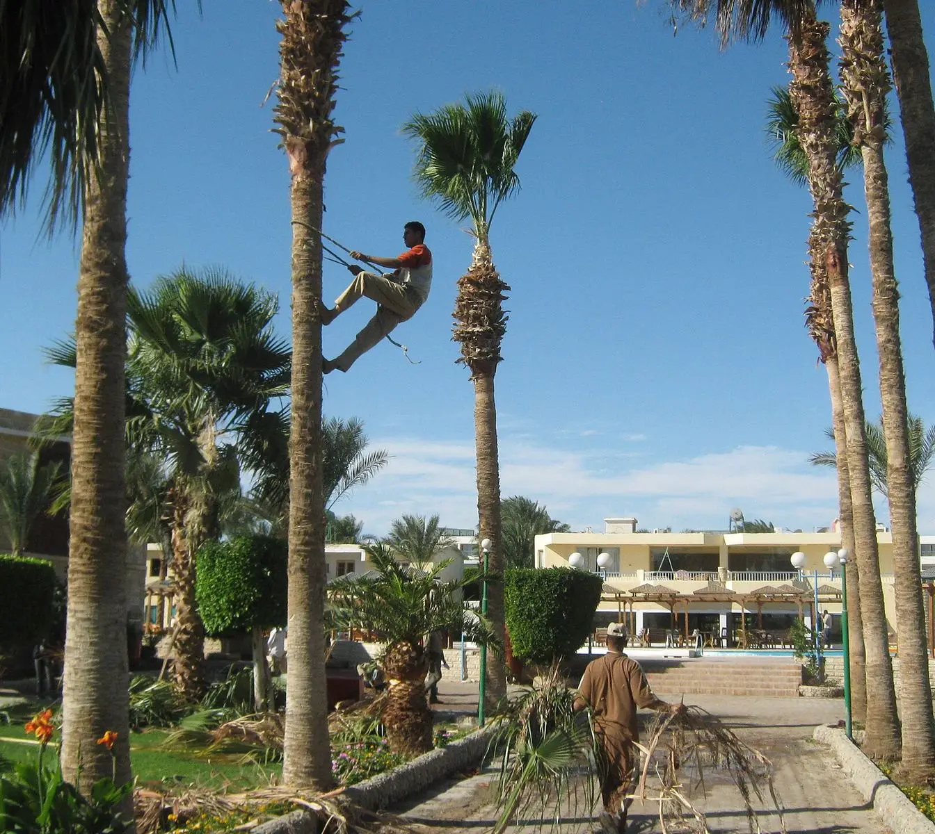 A general view of the Hurghada coastline (file photo); not the specific tourist facility referenced in the story.