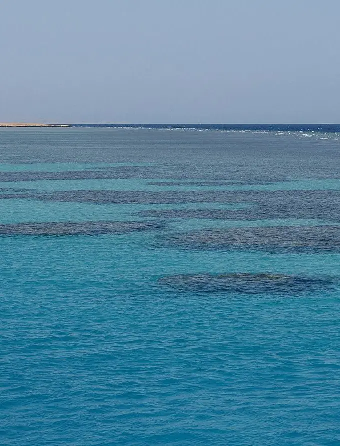 Coral reefs in the Red Sea