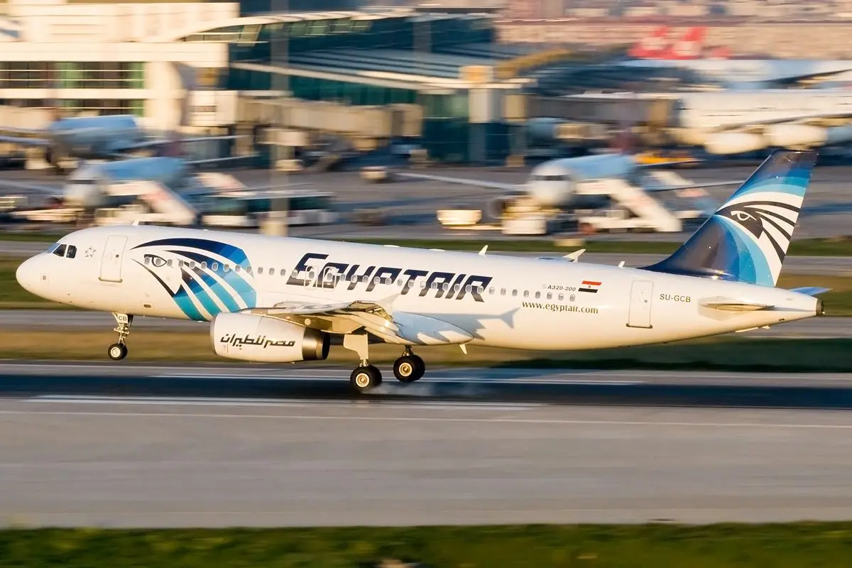 An EgyptAir Airbus A320 aircraft on the tarmac, representative of the airline's fleet