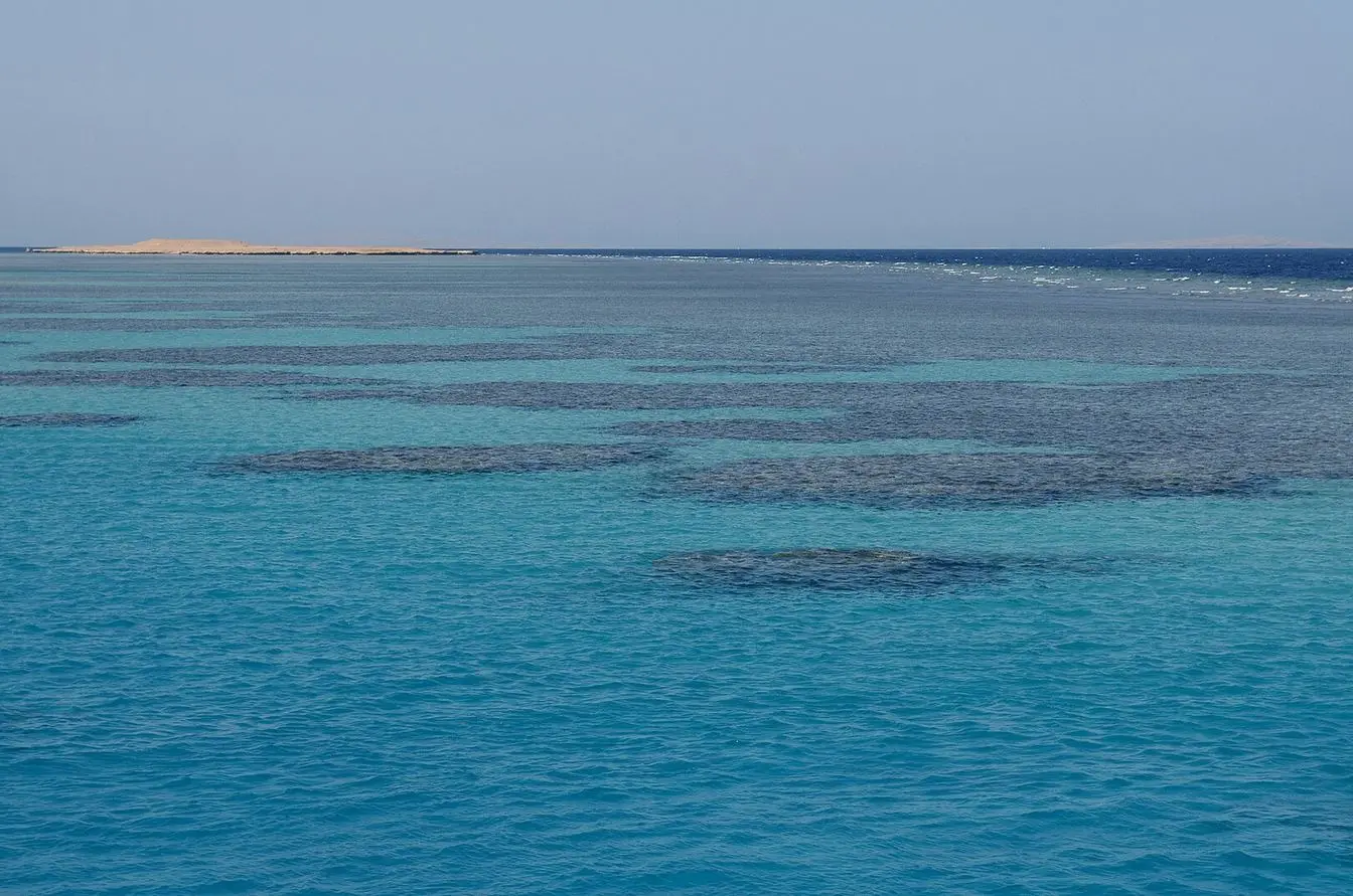 Coral reef formations in the Red Sea off Egypt's coast, the kind of reef habitat desalination-plant intake design can affect