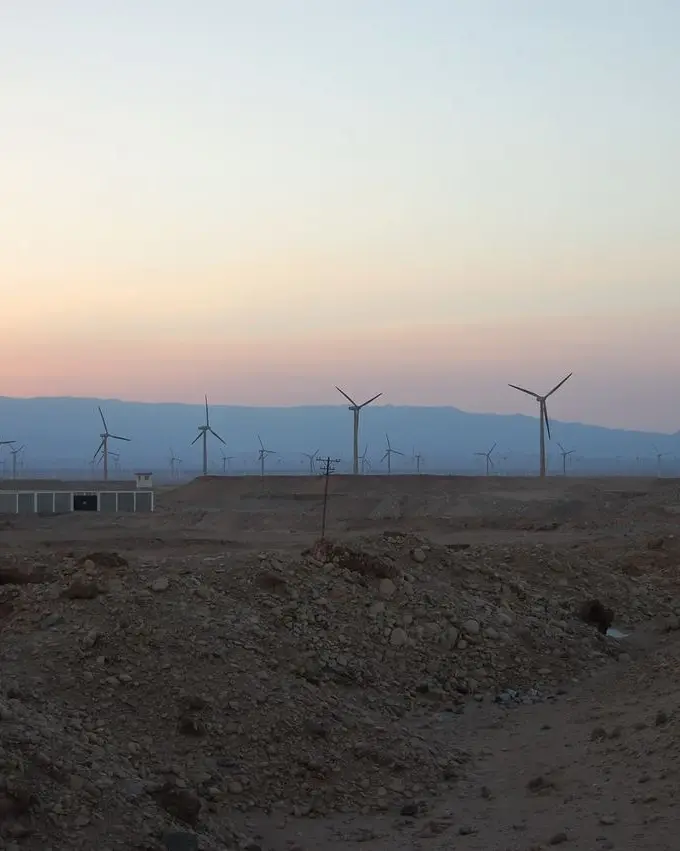 A file photo of the desert road between Cairo and Hurghada; the image does not show the withered trees described in the report