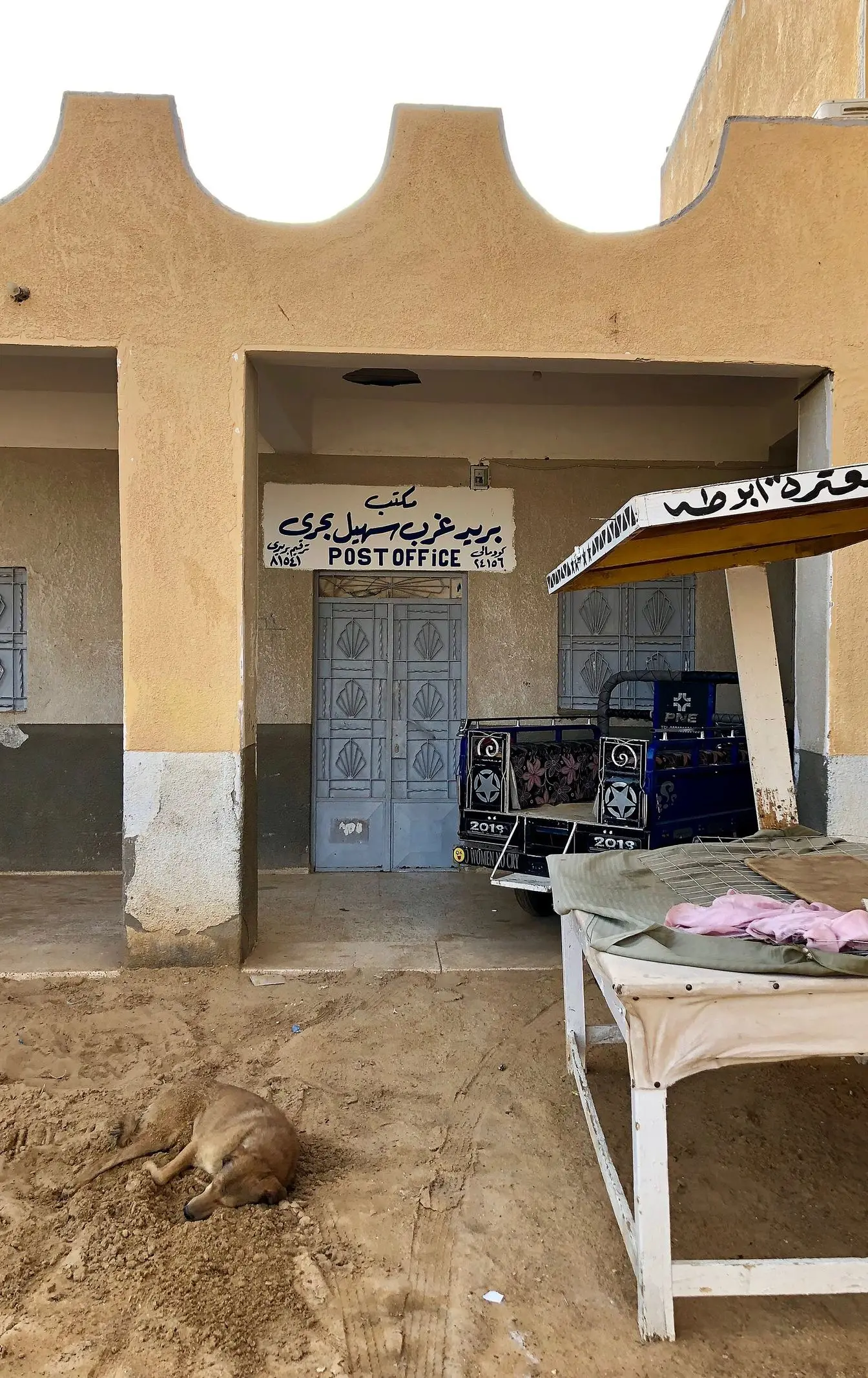 A free-roaming street dog photographed in Nagaa Suhayl Gharb in southern Egypt. Illustrative image, not taken in Hurghada.