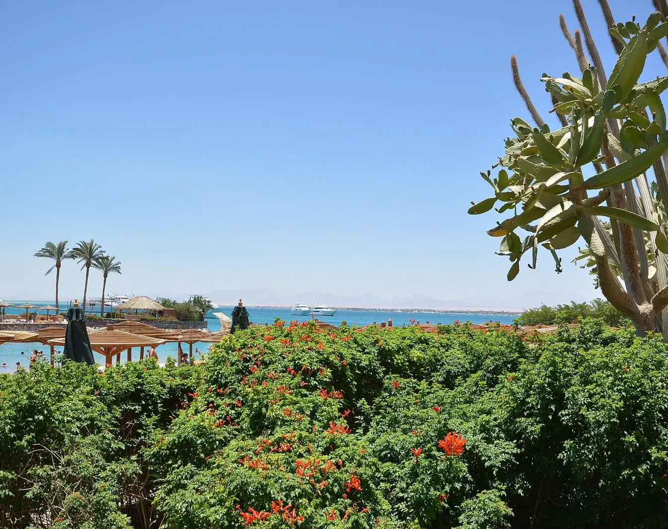 A hotel beach on the Red Sea shore in Hurghada.