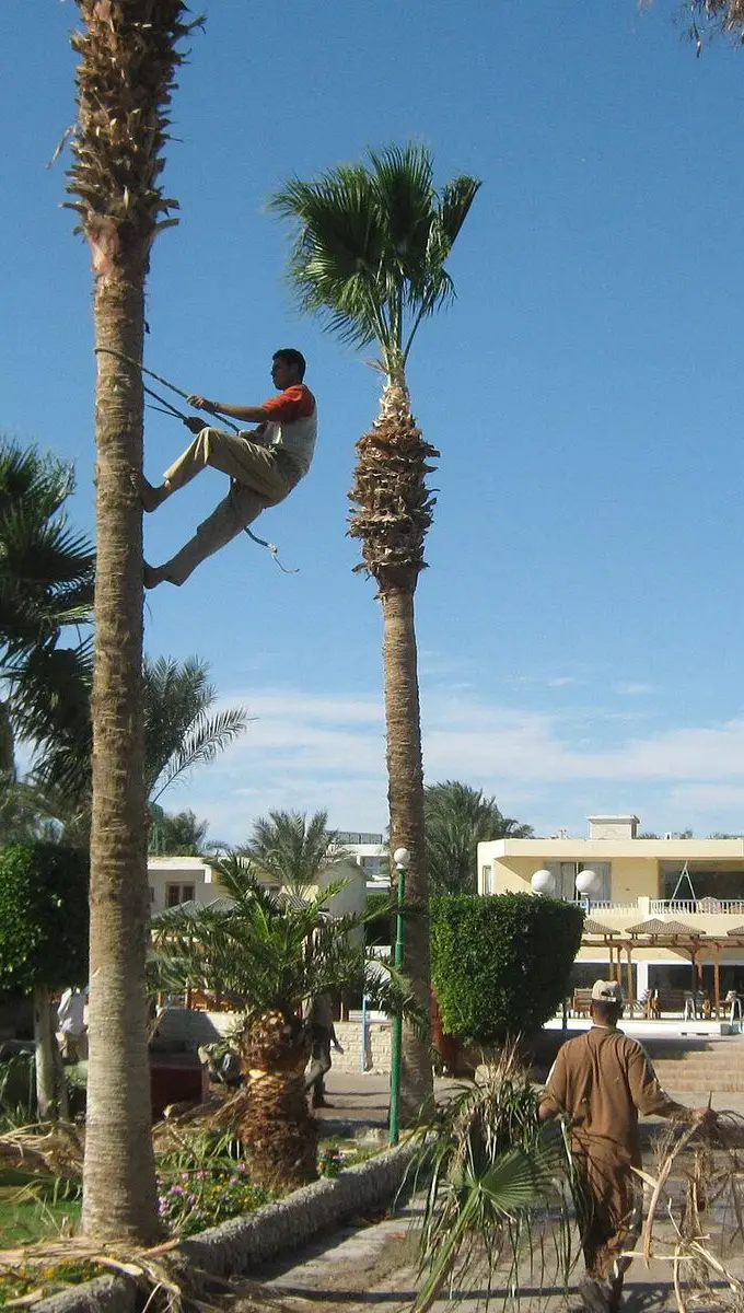 A residential street in Hurghada, Red Sea Governorate — not a photo of the reported water shortage itself