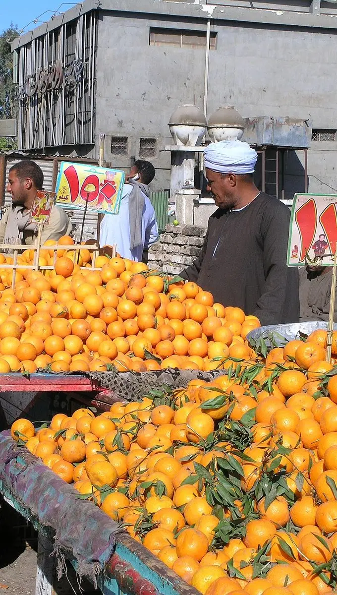 A produce stall with handwritten prices at a market in Hurghada. File photo; it does not show the shops covered by the inspection campaigns.