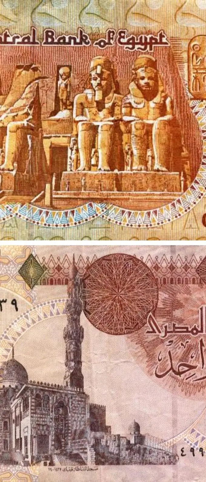 A one-pound Egyptian banknote