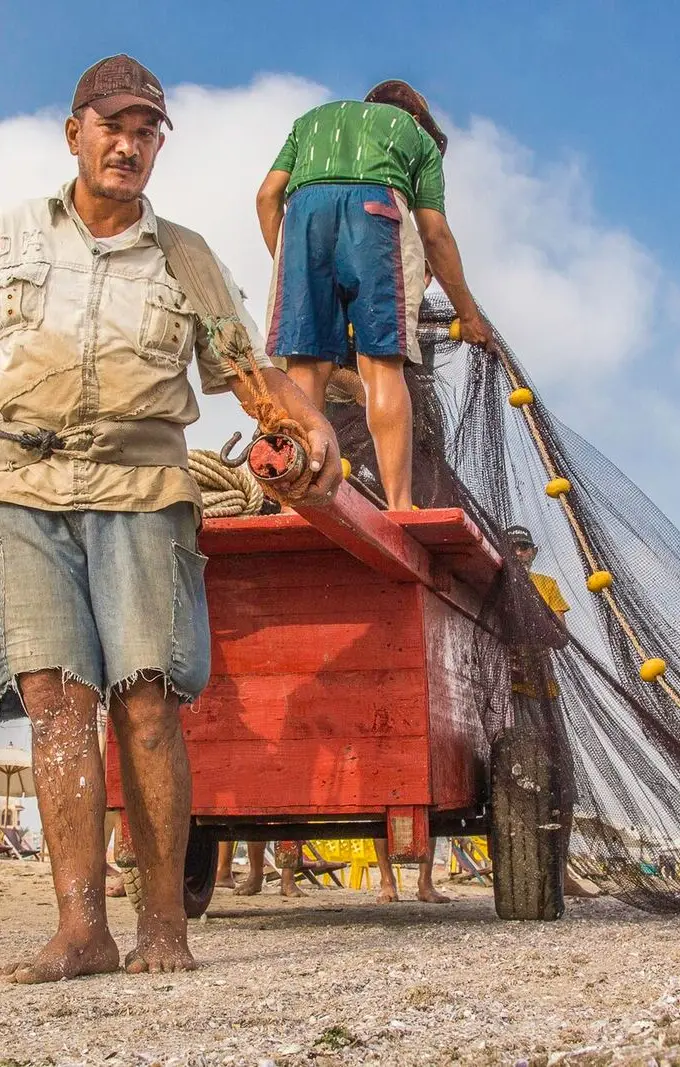 Fishermen pulling a net out of the sea in Egypt