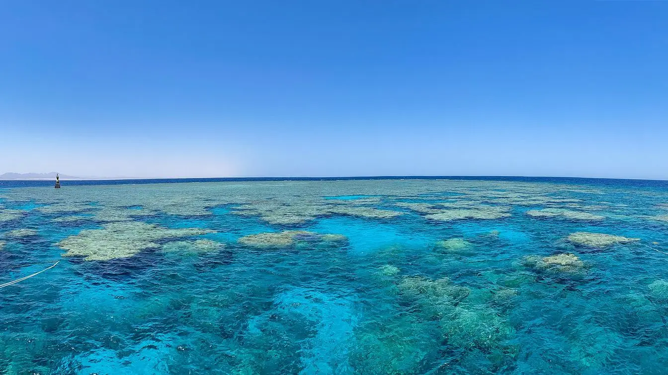 Snorkellers over Middle Reef near Safaga, Red Sea