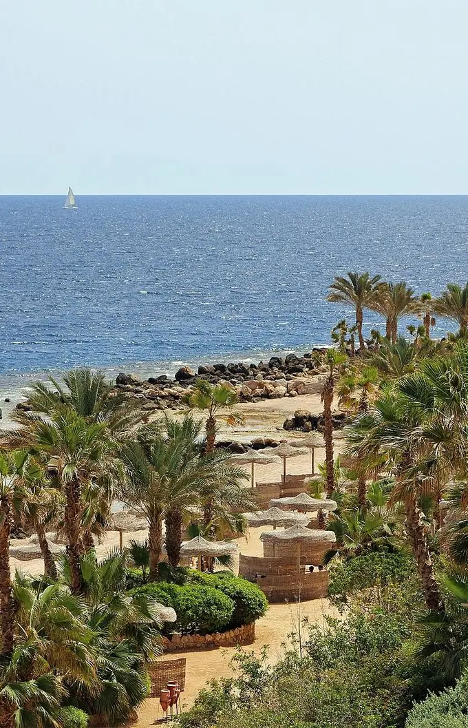 The Red Sea shoreline at Hurghada. This is a general view of the coast; the site of the project described in the report has not been identified.