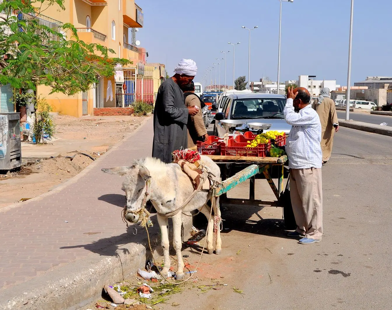 A view in the Red Sea town of Safaga, one of the two coastal towns named in the industrial-zone plan