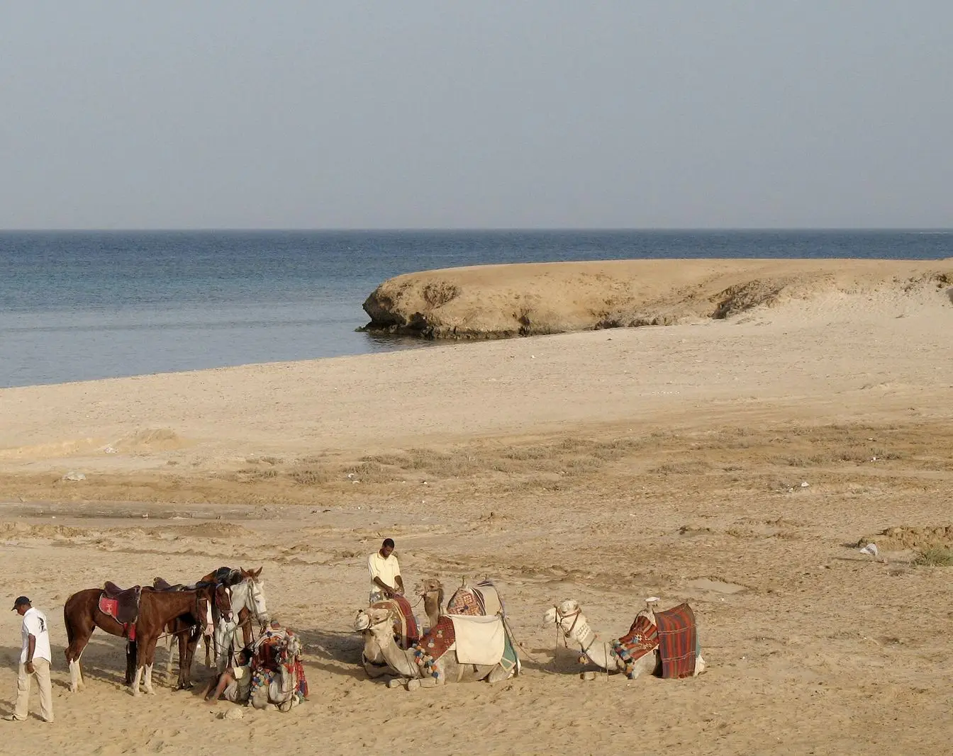 The Red Sea shore at Marsa Alam