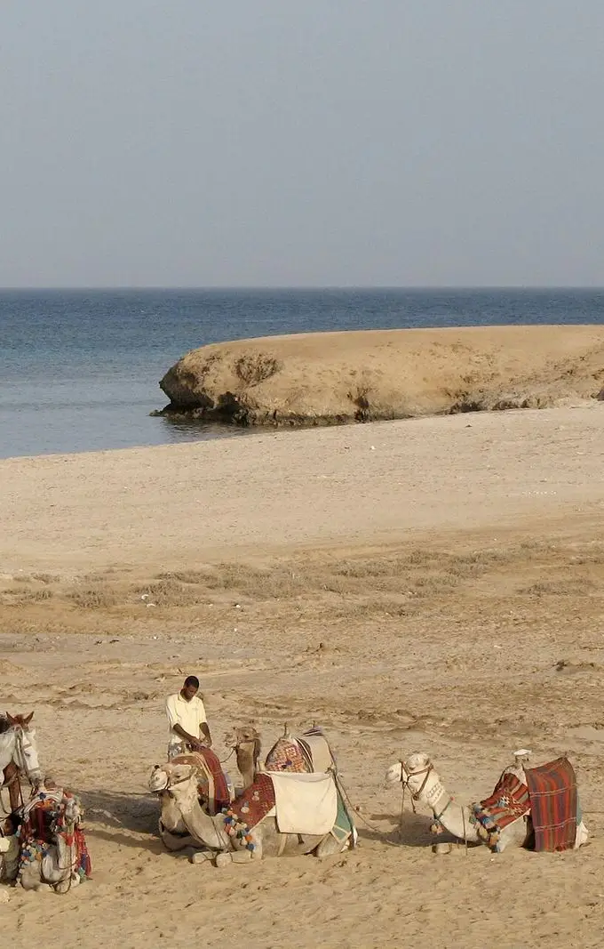 The Red Sea shore at Marsa Alam