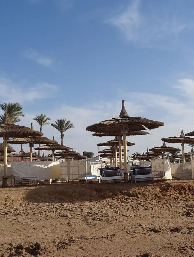 A quiet Red Sea beach with calm shallow water meeting the shore under a clear sky