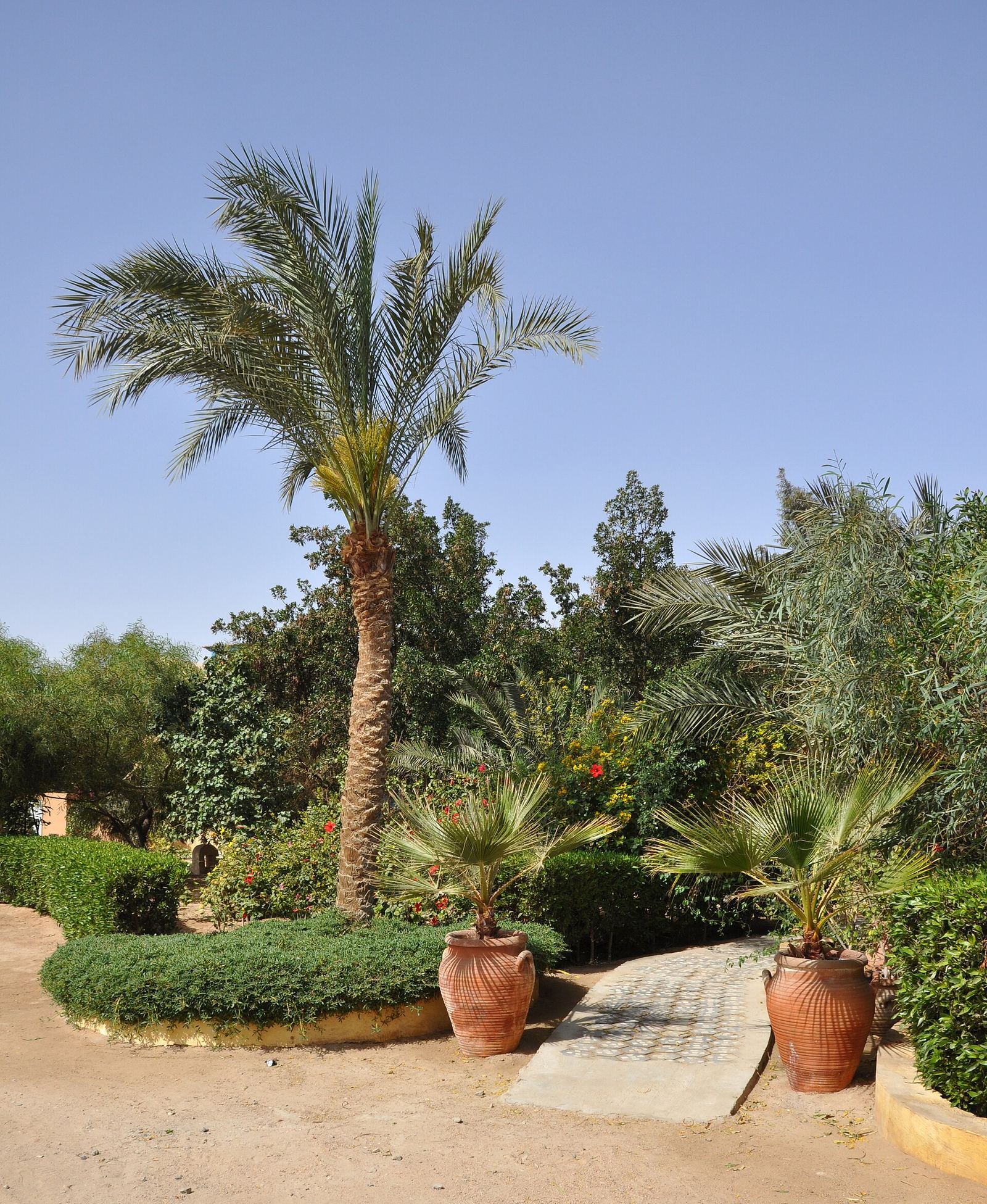 View of El Gouna's lagoons, waterways and low-rise resort architecture along the Red Sea coast