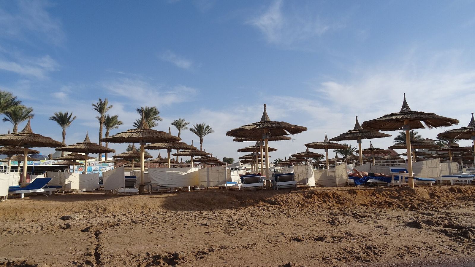 A quiet Red Sea beach with calm shallow water meeting the shore under a clear sky